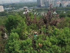 -南翠屏公园