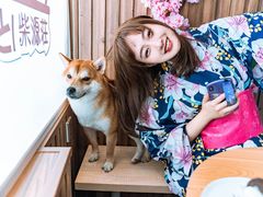 -柴源莊·柴小宠柴犬咖啡