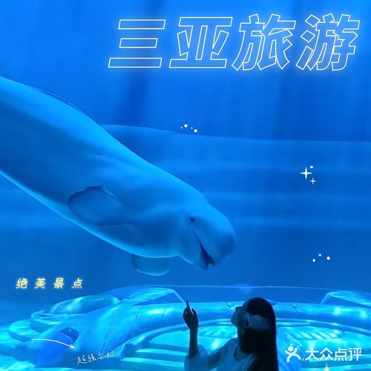 三亚景点|亚特兰蒂斯水族馆攻略