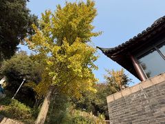 -狼山风景名胜区