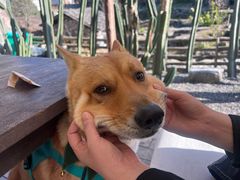 -MOJ coffee(瓯海泽雅水碓坑店)