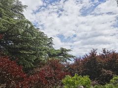 -国家植物园南园