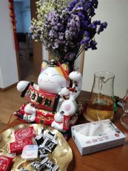 -净·瑜伽普拉提