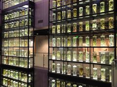 -广东中医药博物馆