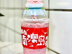 -南澳岛打卡果汁冰公司