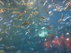 -成都浩海立方海洋公园