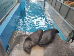 -成都浩海立方海洋公园