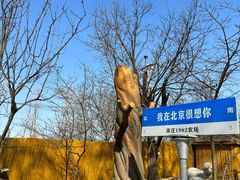 -1982农场