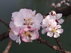 -许榴香西餐厅(台东步行街店)