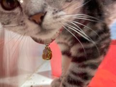 -乐宠宠物店(世纪金源店)