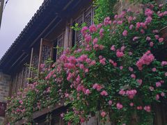 -老门东历史文化街区