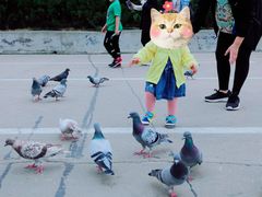 -西霞口神雕山野生动物世界