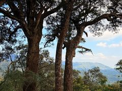 -海南热带雨林国家公园吊罗山景区