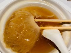 -新同乐鱼翅酒家(美丽华店)