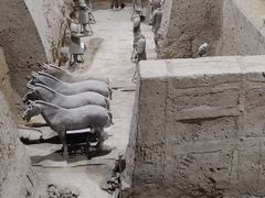 -秦始皇帝陵博物院(兵马俑)