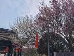 -重庆园博园