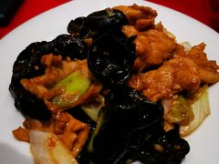 -凯鸽酒楼(大同振兴街店)