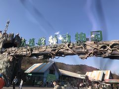 -大连森林动物园