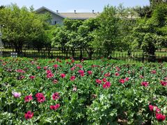 -国家植物园南园