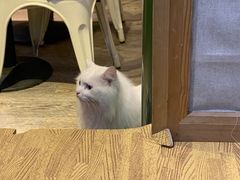 -小时光咖啡馆(开森度假森林店)