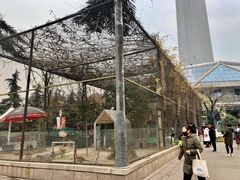 -陕西自然博物馆