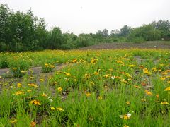 -溱湖国家湿地公园