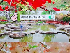-莲花池公园