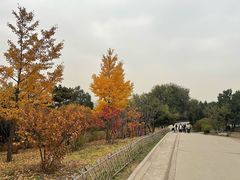 -北京西山国家森林公园