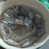 上得厅堂下得厨房---清蒸皮皮虾
