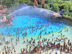 -重庆海昌加勒比海水世界