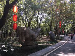 -东湖落雁景区