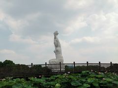 -荷塘月色湿地公园·向阳花洲