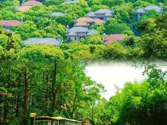 -东平国家森林公园
