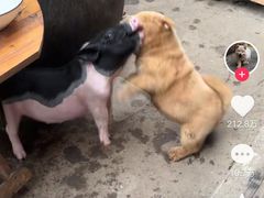 -螃蟹岬(地铁站)