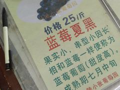 -马陆小张葡萄园农家乐