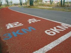 -上海长兴岛郊野公园