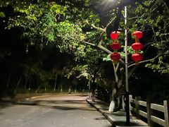 -水濂山森林公园