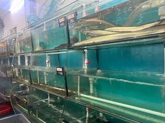 -钱山海鲜大排档