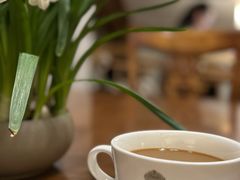 -1901 Cafe(西四店)