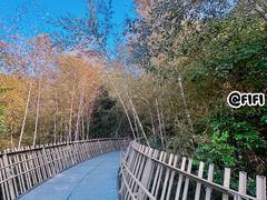 -福道