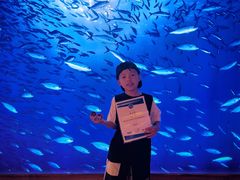 -沈阳海洋探索中心