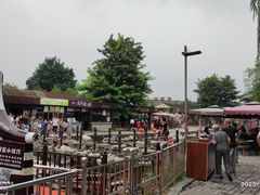 -茯茶镇