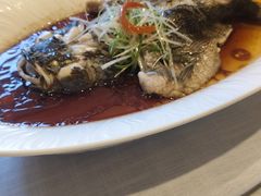 -聚鑫阁江浙菜·非遗传承技艺(青村帝华园店)