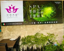 -阅年轻·AI家庭健康体质调理