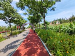 -上海长兴岛郊野公园