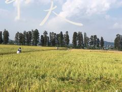 -崖口煲仔饭