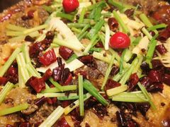 老板恋上鱼-老板恋上鱼(恒隆广场店)