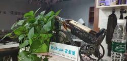 -Ly形象设计