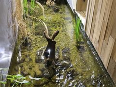 -邈墨茶馆(凤起路店)