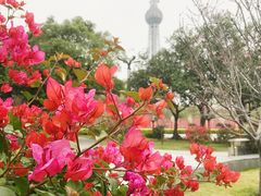 -文华公园(禅城区)